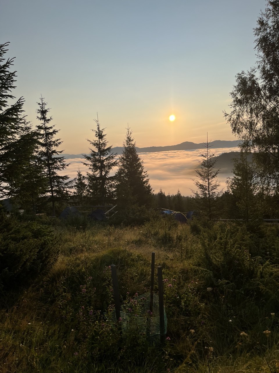 camping