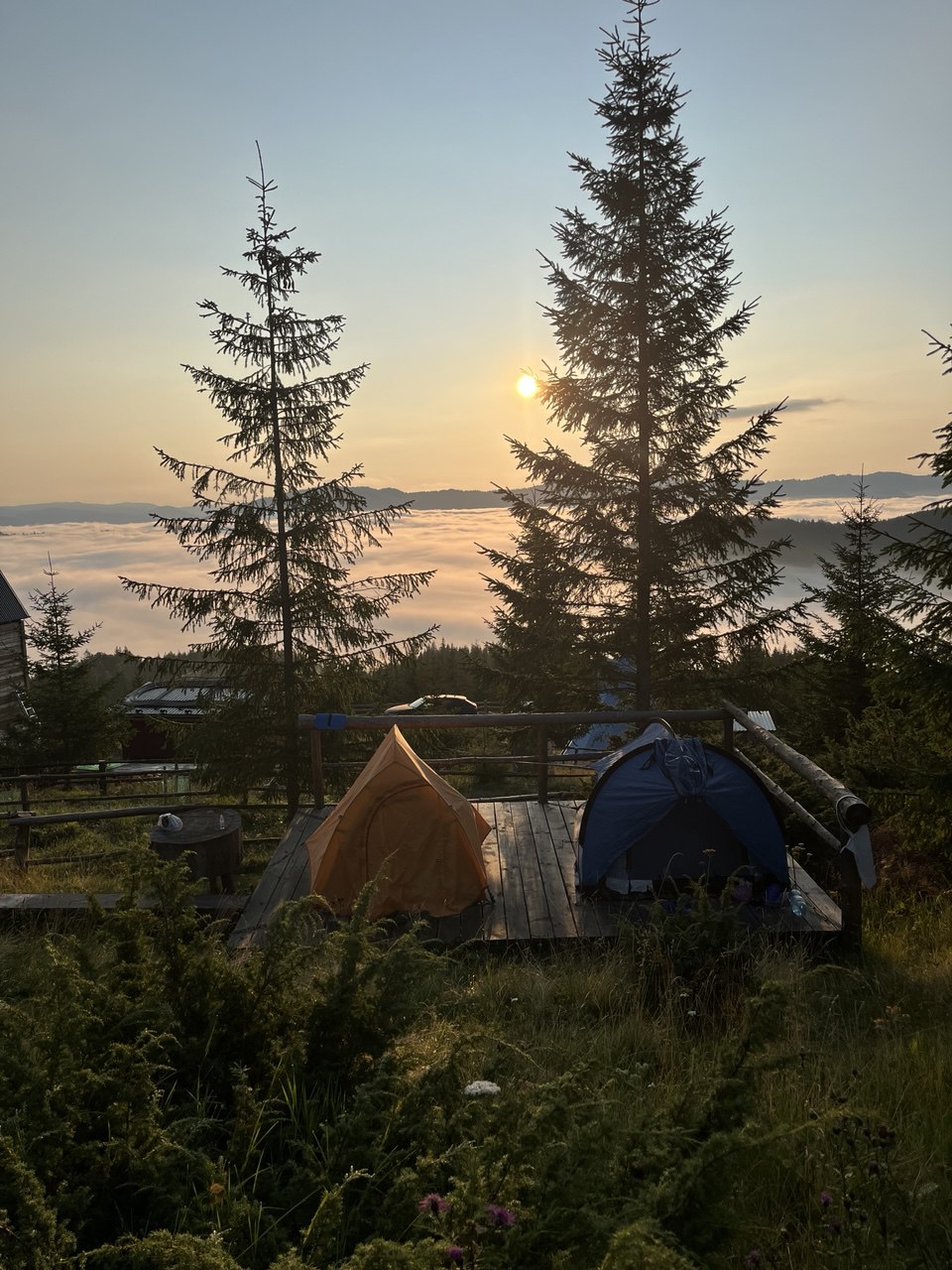 camping